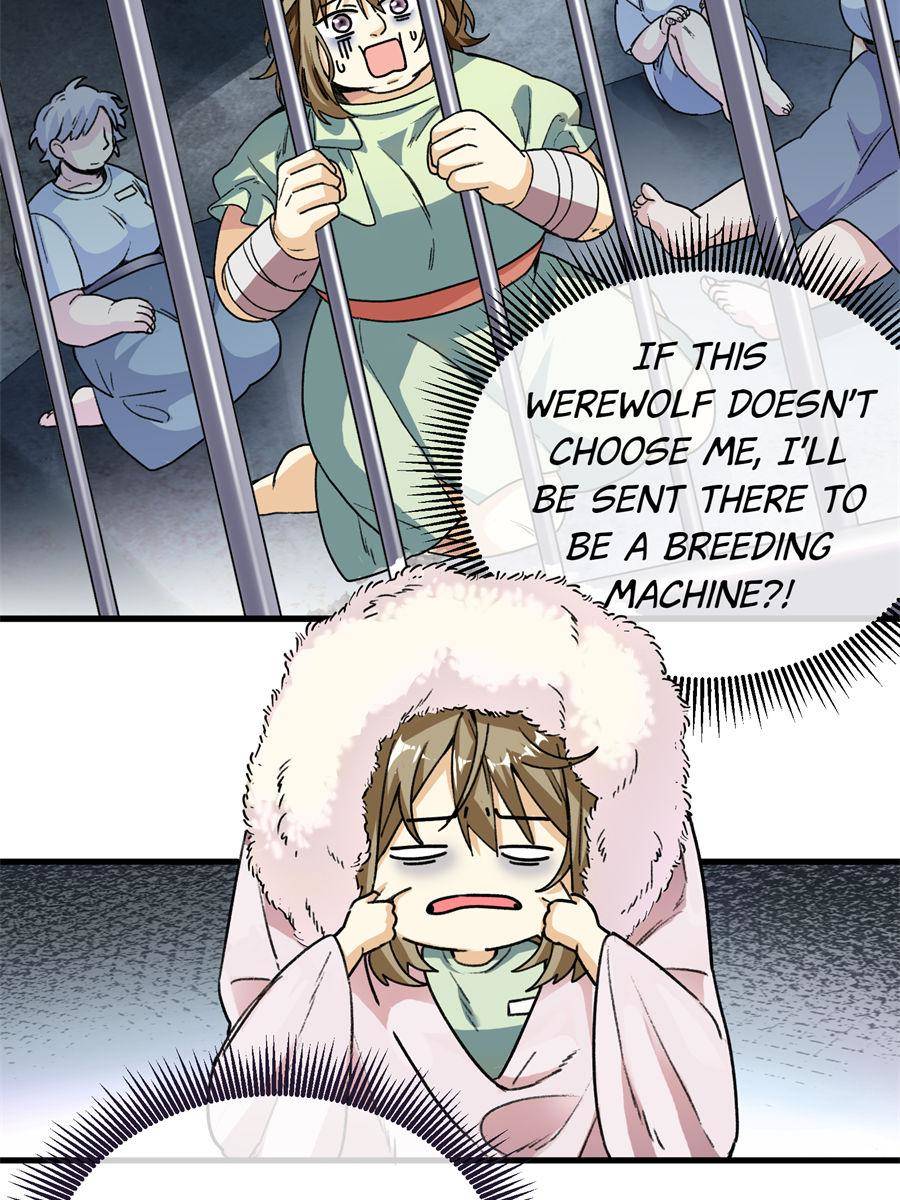 2. Humans are pets of orcs- ! 68 75869342 900 1200 208348