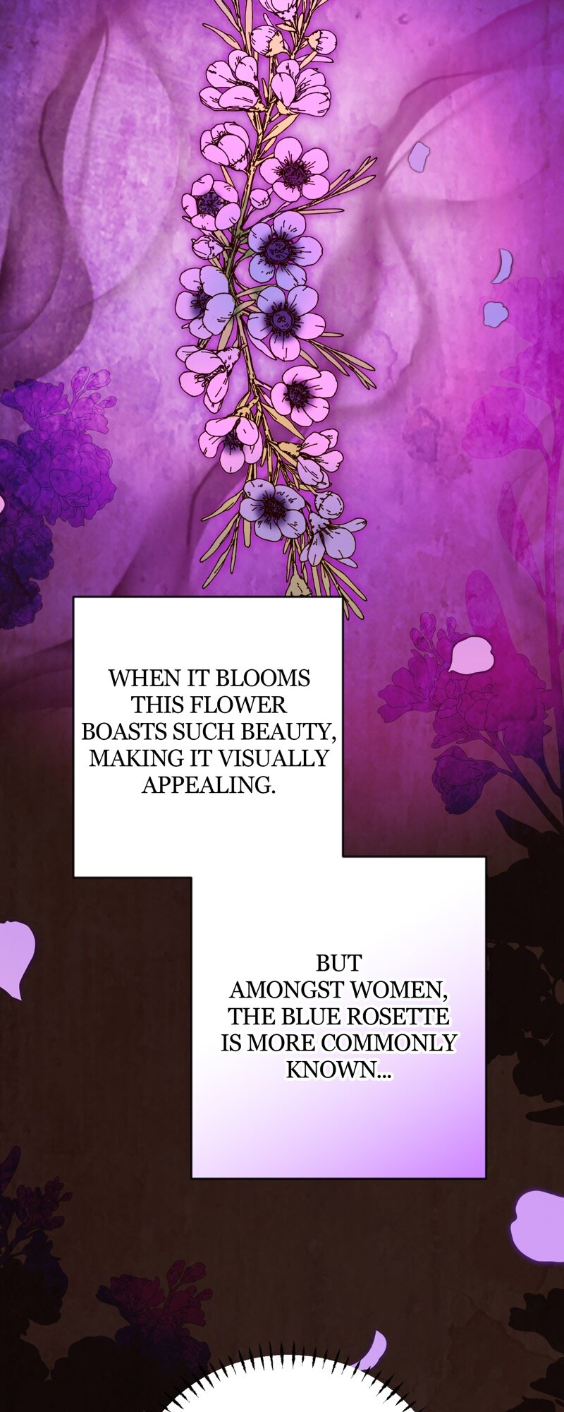 52882903 800 2000 242849